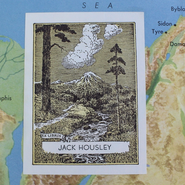 The Interpreter's Bible Volume V 1956 Hard Cover Ex-Library Book