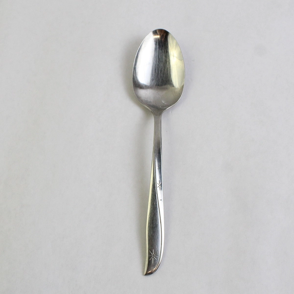 Oneida Silver Twin Star 8.5" Tablespoon Solid Serving Spoon Stainless Steel