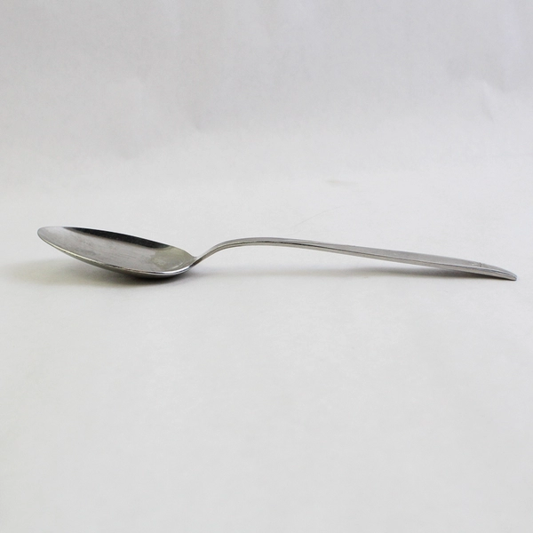 Oneida Silver Twin Star 8.5" Tablespoon Solid Serving Spoon Stainless Steel