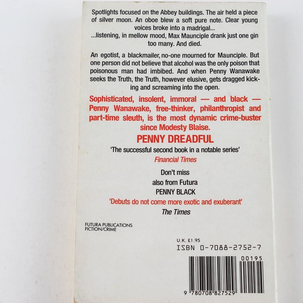 Penny Dreadful by Susan Moody 1986 Futura Paperback 