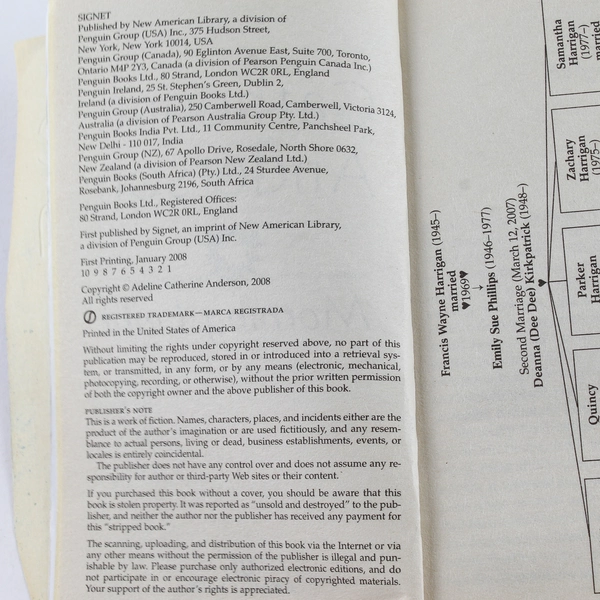 Morning Light by Catherine Anderson 2008 Paperback - Good Condition