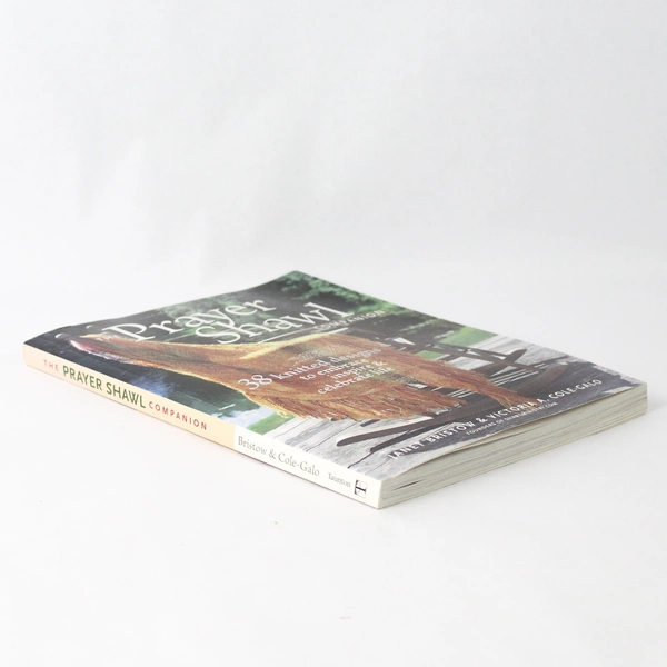 The Prayer Shawl Companion by Janet Bristow Victoria A Cole-Galo 2008 PB