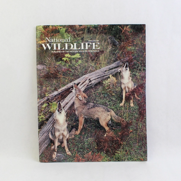 Vintage National Wildlife Magazine April-May 1989 National Wildlife Federation