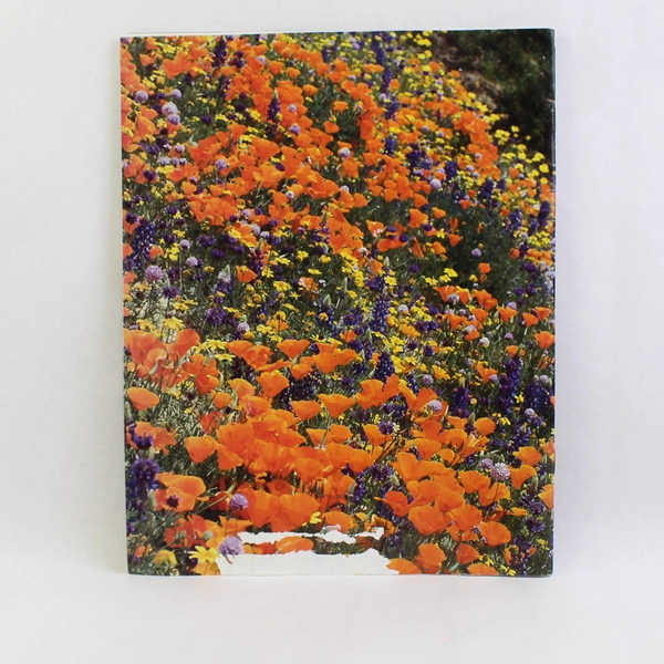 Vintage National Wildlife Magazine April-May 1989 National Wildlife Federation