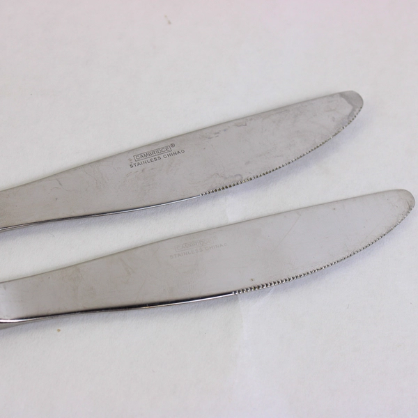 Lot of 3 Cambridge Boa Frost Utensils 8 3/8" Fork + 9 3/8" Knives Stainless