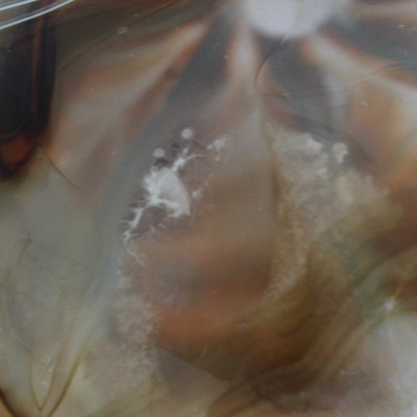 Vintage Hand Blown Brown And Blue Drip Glass Ball Christmas Ornament 3 Inch