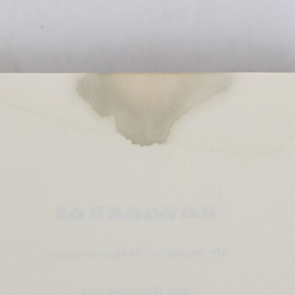 Sourdough A Novel by Robin Sloan 2017 Paperback