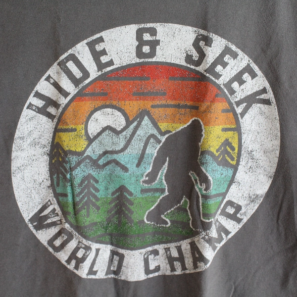 Port & Company Unisex Gray Sasquatch Hide & Seek World Champ T-Shirt Size Small