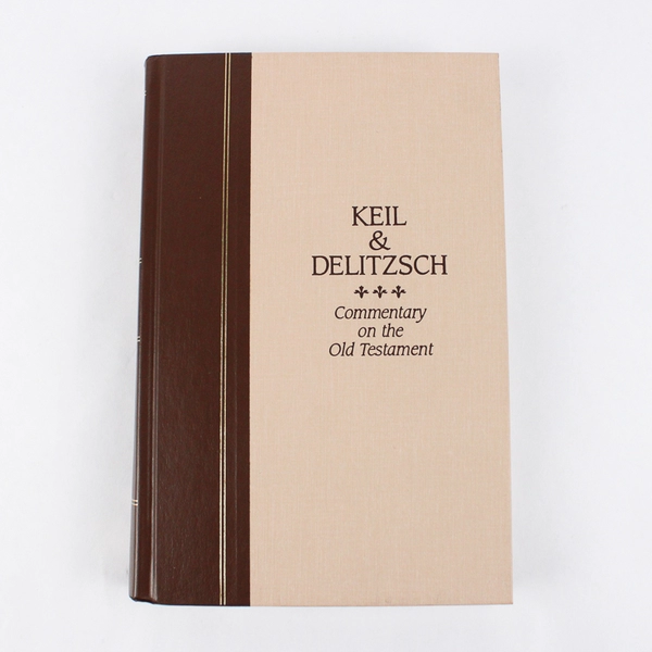 Keil & Delitzsch Commentary on the Old Testament Vol 9 Ezekiel Daniel 1996 HC