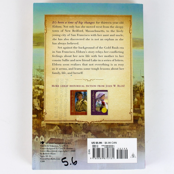 Letters from the Corrugated Castle by Joan W. Blos 2007