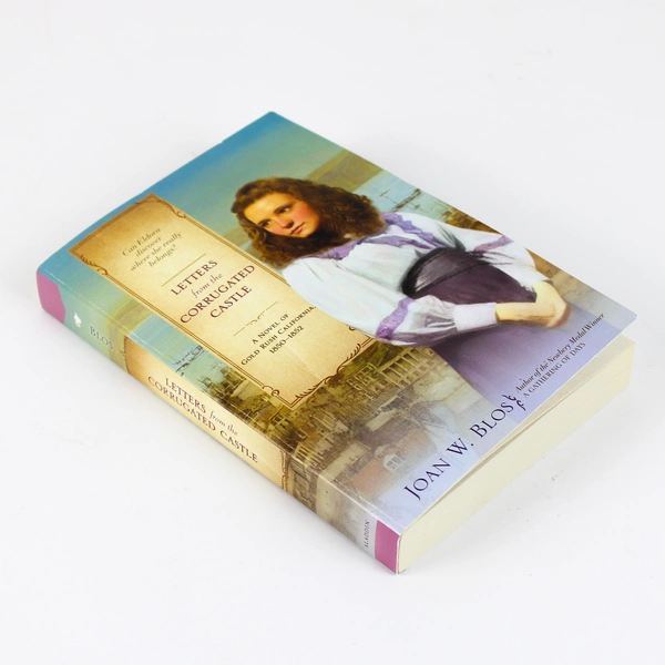 Letters from the Corrugated Castle by Joan W. Blos 2007