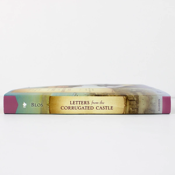 Letters from the Corrugated Castle by Joan W. Blos 2007