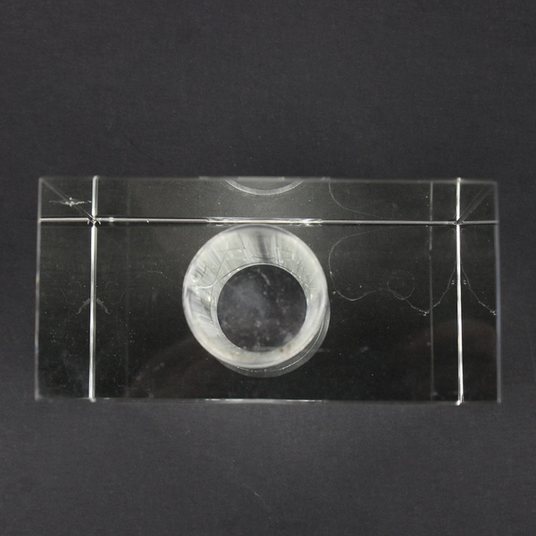 Unbranded Solid Rectangular Clear Glass Head Vase 4.5" Tall Simple Home Decor