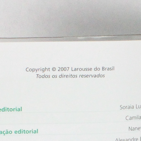 Living in Sao Paulo The L&T Guide Leslie Nasr Tracy Peixoto 2007 PB Plastic DJ