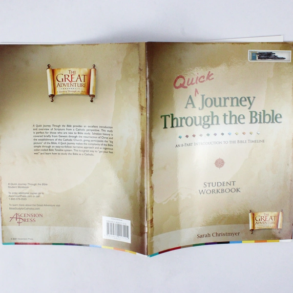 A Quick Journey Through the Bible Student Workbook Sarah Christmyer 2008 PB