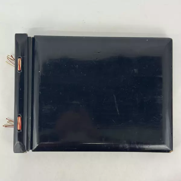 Vtg Hand Painted Japanese Lacquer Cover Photograph Album Landscape Scene