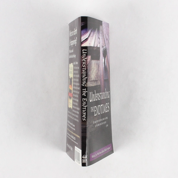 Understanding the Endtimes 2004 Paperback Bible Prophecy