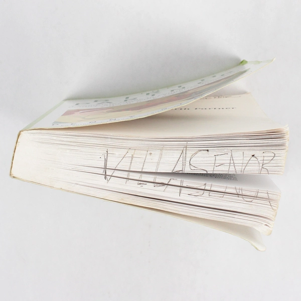 The Birth Partner by Penny Simkin Complete Guide For Labor Companions  2008 PB