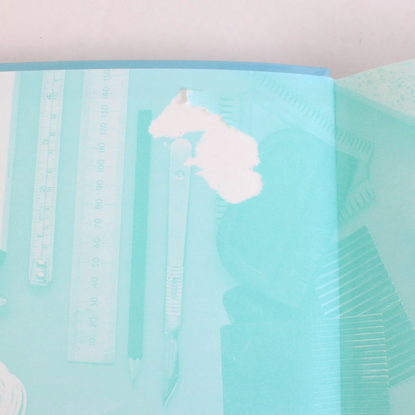 The New Paint Effects Project Book by Cohen and Philo 2004 Softcover