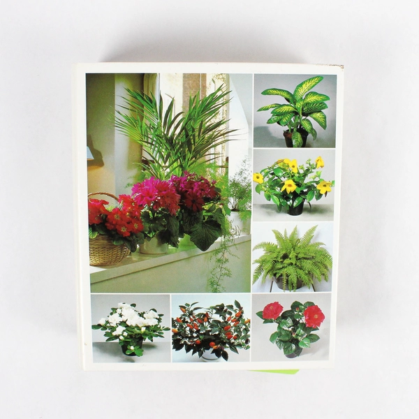 1985 Success With House Plants Binder Groups 8-10
