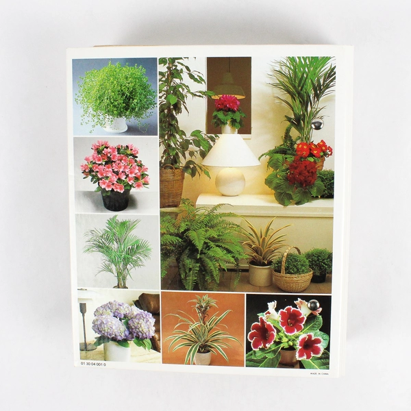 1985 Success With House Plants Binder Groups 8-10