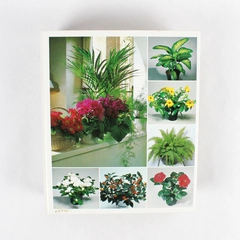 1985 Success With House Plants Binder Groups 4-6 Flawed