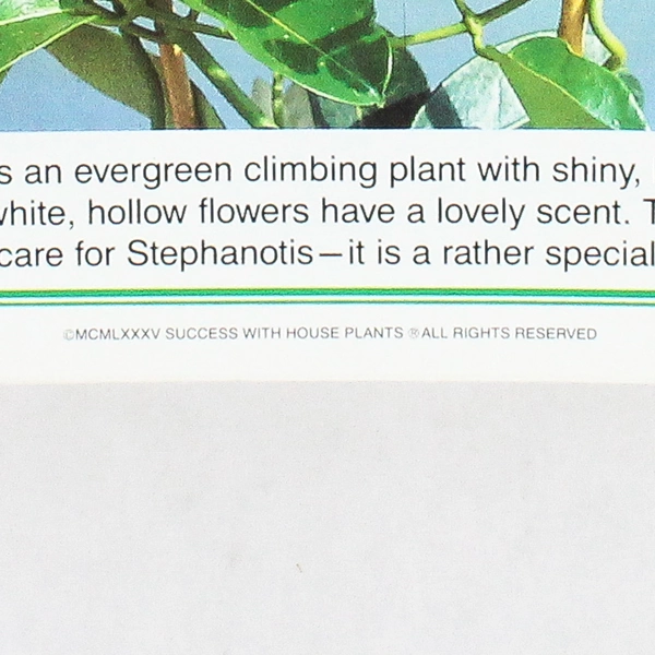 1985 Success With House Plants Binder Groups 4-6 Flawed