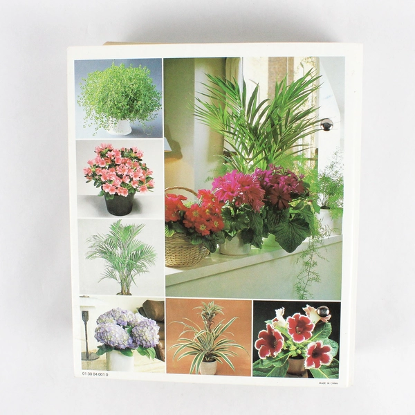 1985 Success With House Plants Binder Groups 15-19
