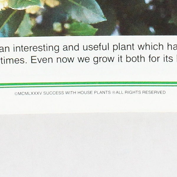 1985 Success With House Plants Binder Groups 15-19