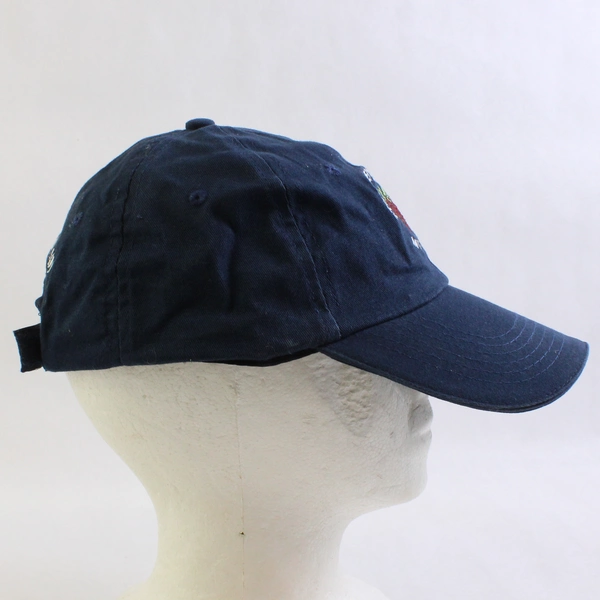 BIC Graphic Strawberry Banke Museum Embroidered Baseball Cap One Size