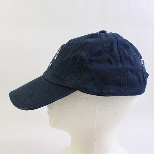 BIC Graphic Strawberry Banke Museum Embroidered Baseball Cap One Size
