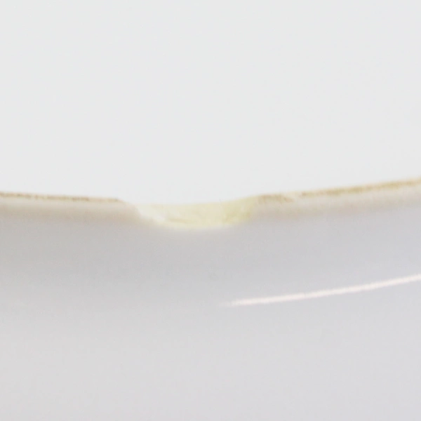 Set of 2 222 Fifth Peacock Garden Porcelain Salad Plates 8.5"