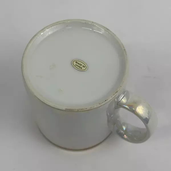 Alaska Souvenir Coffee Mug Cup Opalescent Map