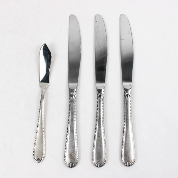 Lot Of 4 Hampton Silversmiths Rachelle-Frost (Stainless) 4 Dinner 1 Butter Knife