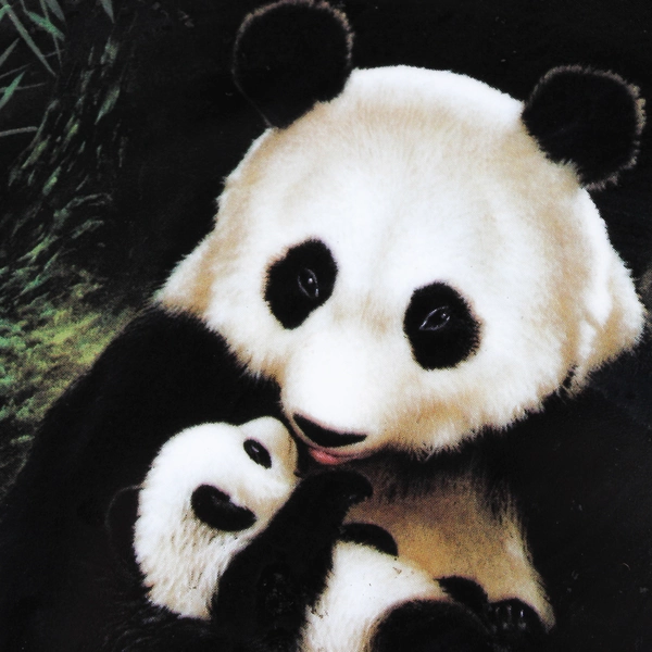 W.S. George Last of Their Kind Panda First Issue Collector's Plate 1988