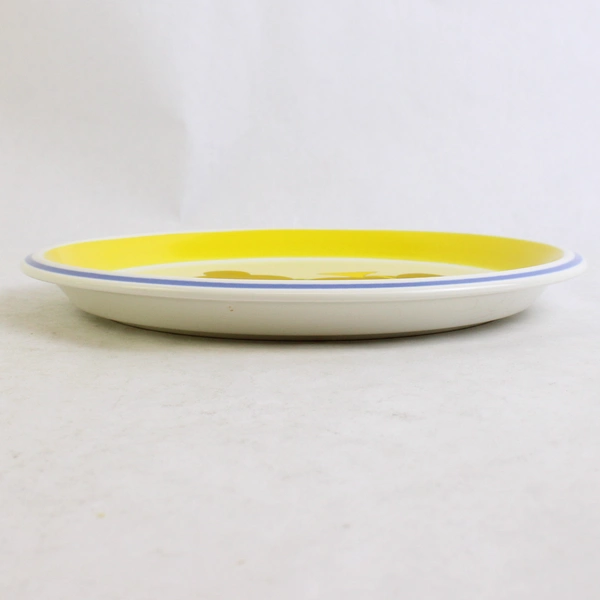 Lot Of 2 Mikasa Teddy Bear Pattern Ceramic Child's Plate 8.25" CC004