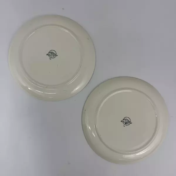 2 Blue Ridge Southern Potteries Hand Painted Festive Dinner Plates 10 inch