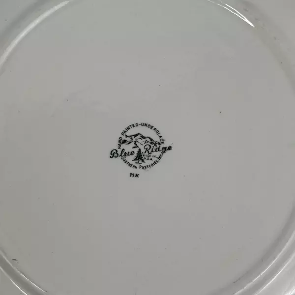 2 Blue Ridge Southern Potteries Hand Painted Festive Dinner Plates 10 inch