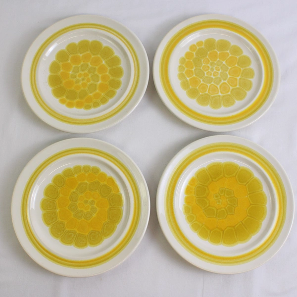 Lot Of 4 Franciscan Earthenware Sundance (USA) Pattern Salad Plates