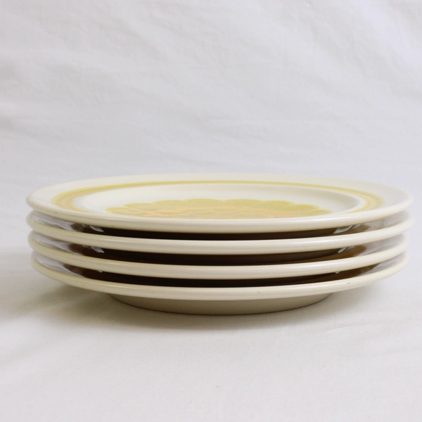 Lot Of 4 Franciscan Earthenware Sundance (USA) Pattern Salad Plates