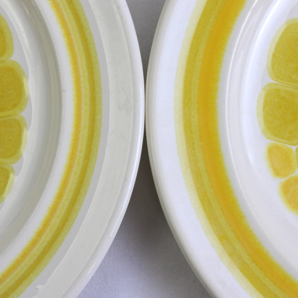 Lot Of 4 Franciscan Earthenware Sundance (USA) Pattern Salad Plates