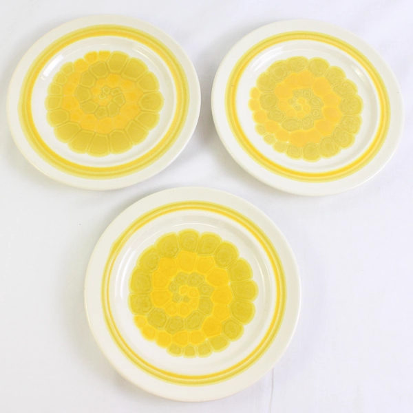 Lot Of 3 Franciscan Earthenware Sundance (USA) Pattern Salad Plates