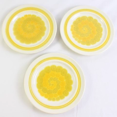 Lot Of 3 Franciscan Earthenware Sundance (USA) Pattern Salad Plates