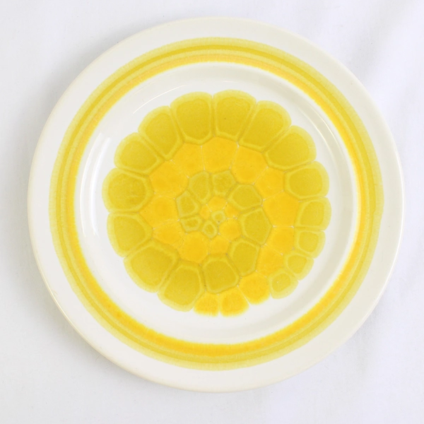 Lot Of 3 Franciscan Earthenware Sundance (USA) Pattern Salad Plates