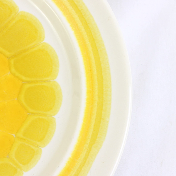 Lot Of 3 Franciscan Earthenware Sundance (USA) Pattern Salad Plates