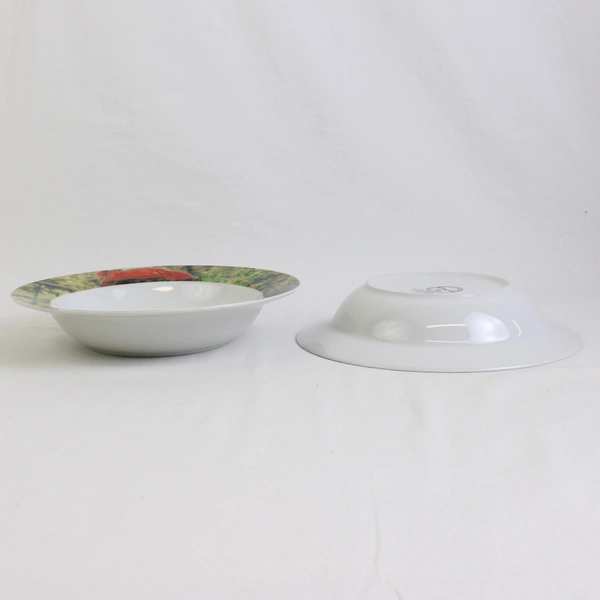 Lot Of 2 Sakura Genuine Porcelain Renoir Pattern Large Rim Soup Bowls