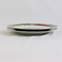 Lot Of 2 Sakura Genuine Porcelain Renoir Pattern Dinner Plates 10.75" Diameter