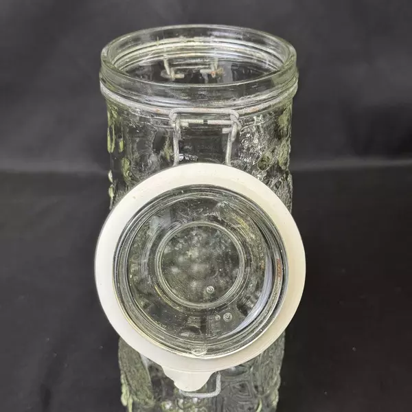 Vintage Embossed Fruits Tall Glass Hinged Wire Bail Lid Spaghetti Storage Jar