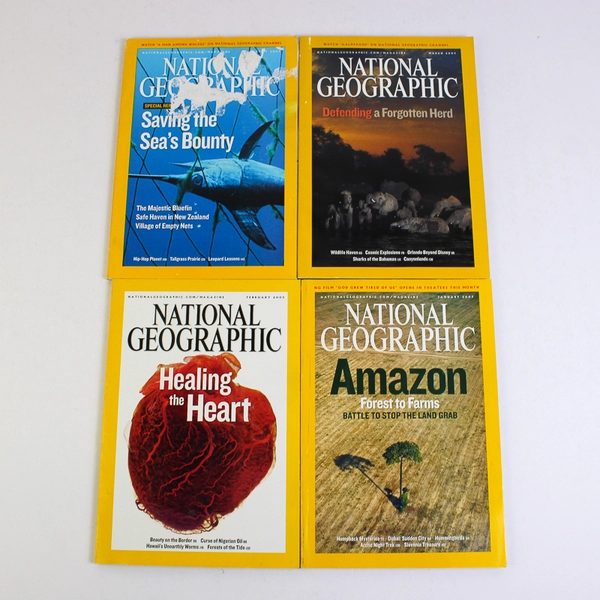 Lot of 10 2007 National Geographic Magazines Missing June & November Issues