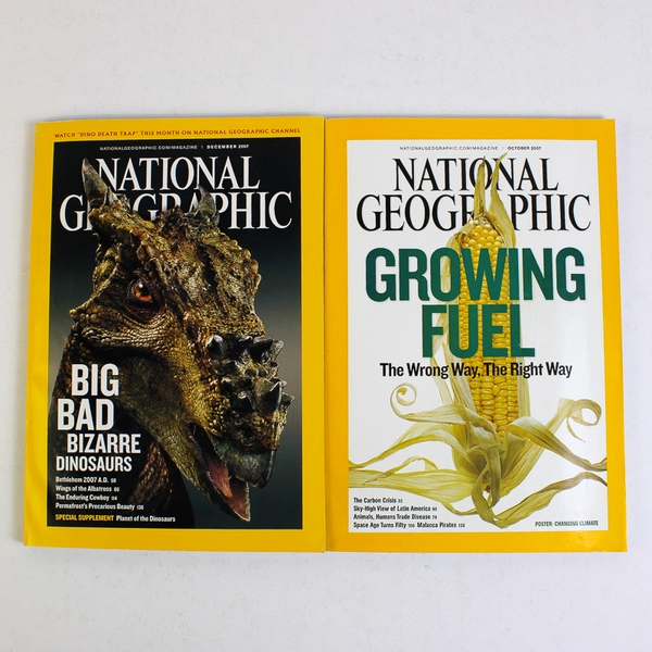 Lot of 10 2007 National Geographic Magazines Missing June & November Issues
